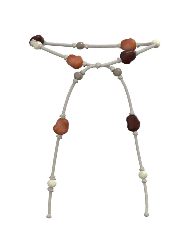 CINTURON ERA TAGUA NATURAL