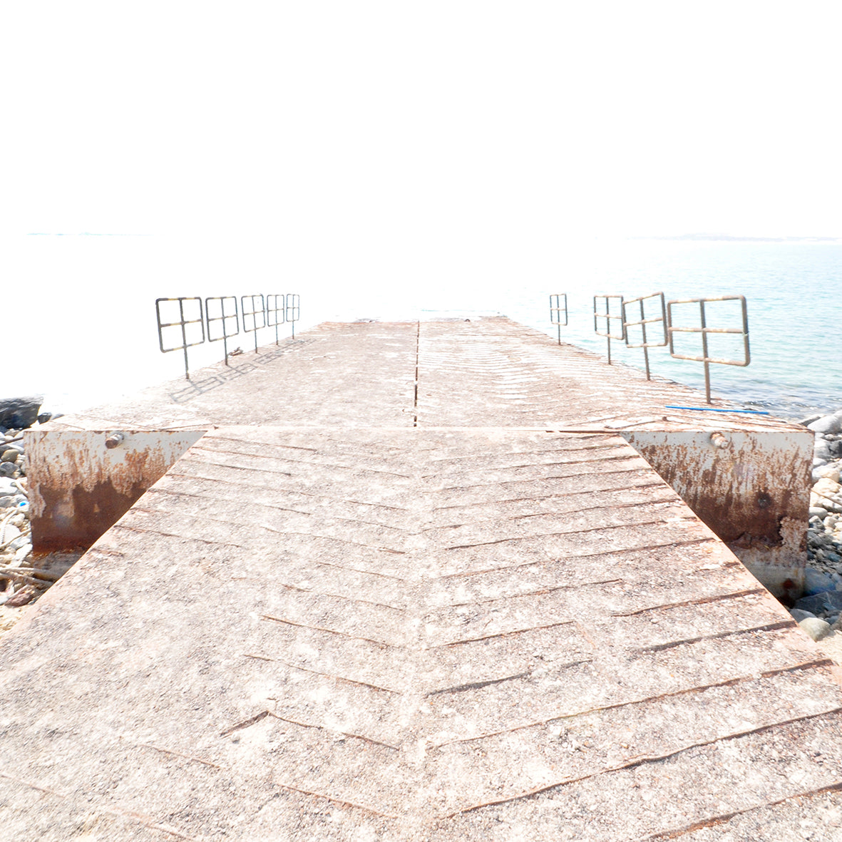 BENIKAKTUS 7