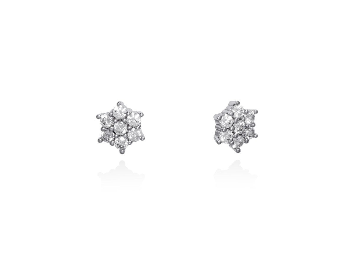 PENDIENTES ROSE PLATA